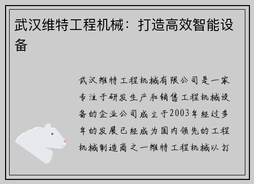 武汉维特工程机械：打造高效智能设备